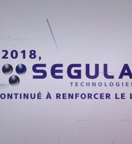 retrospective_2018_segula