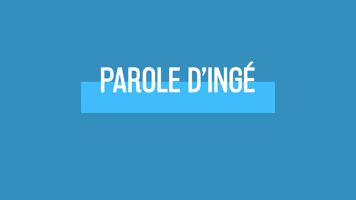 parole-dinge_d