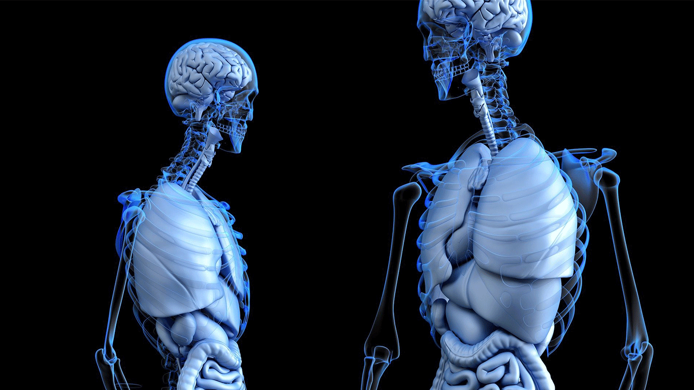 THORAX_desktop